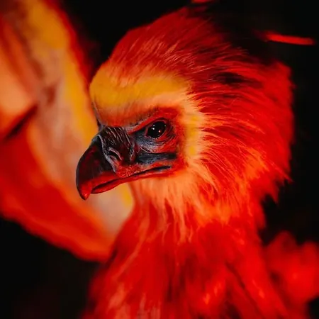 Lägenhet Sorcier Magique & Experience Immersive