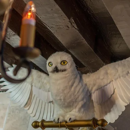 Sorcier Magique & Experience Immersive Lägenhet *