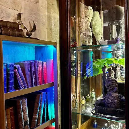 Sorcier Magique & Experience Immersive Apartment *