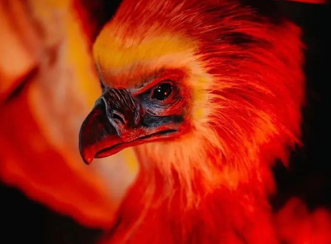 Apartmán Sorcier Magique & Experience Immersive