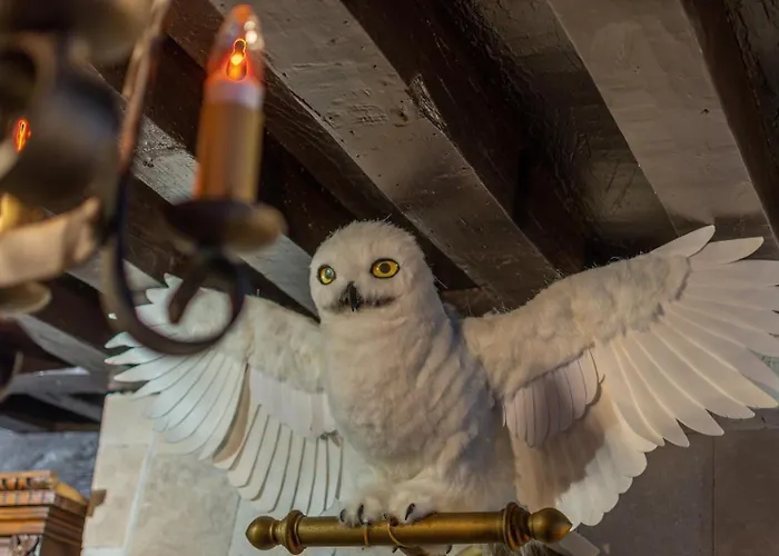 Sorcier Magique & Experience Immersive Lägenhet *